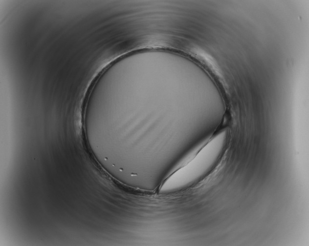X0000091581226200709171110