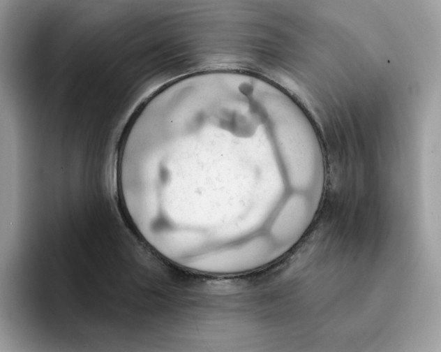 X0000091581227200709171110