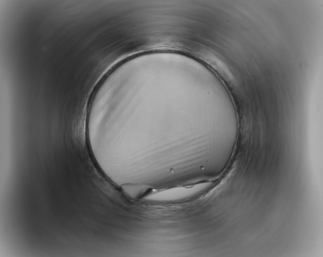 X0000091581228200709171110