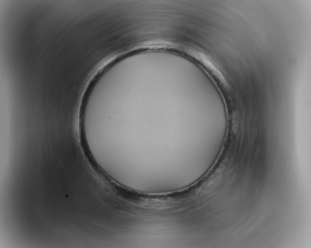 X0000091581229200709171110