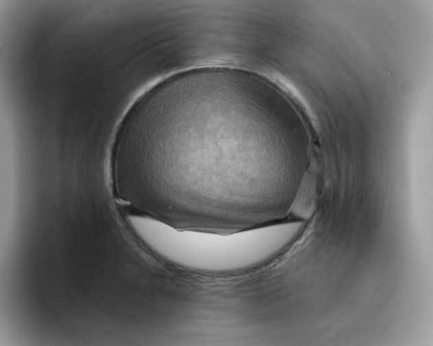 X0000091581230200709171110