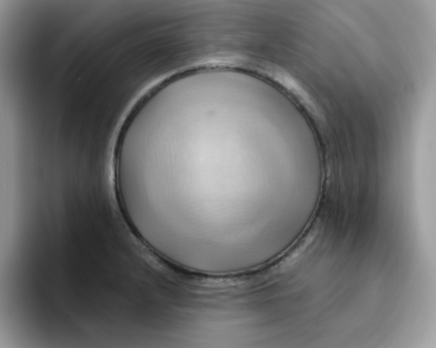X0000091581232200709171110