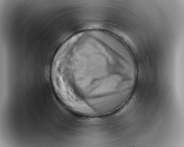 X0000091581233200709171110