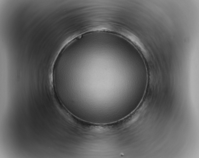 X0000091581234200709171110