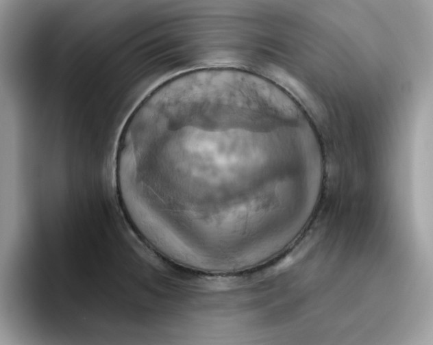 X0000091581236200709171110