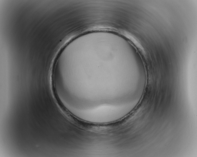 X0000091581237200709171110