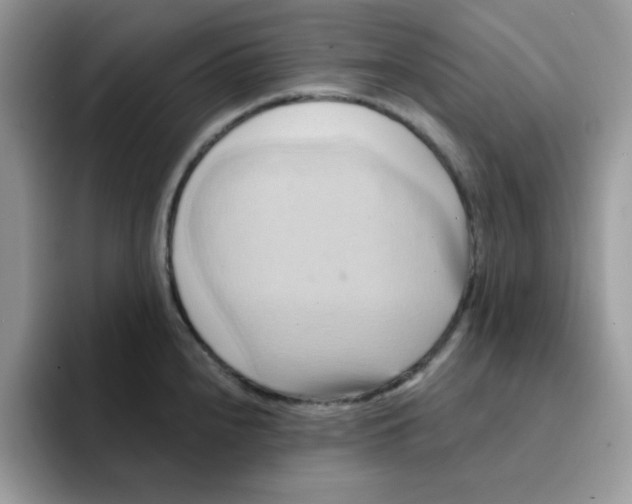 X0000091581240200709171110