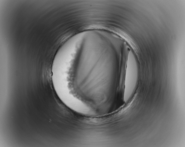 X0000091581241200709171110