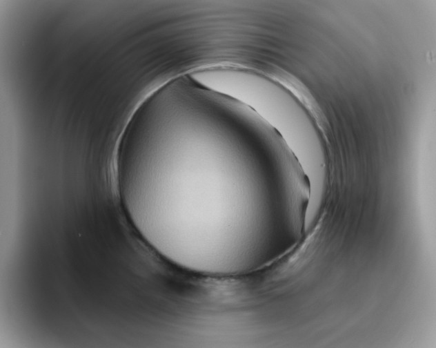 X0000091581242200709171110