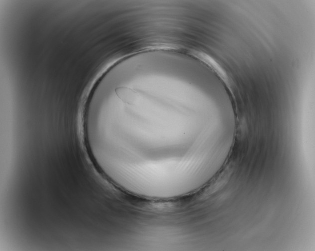 X0000091581243200709171110