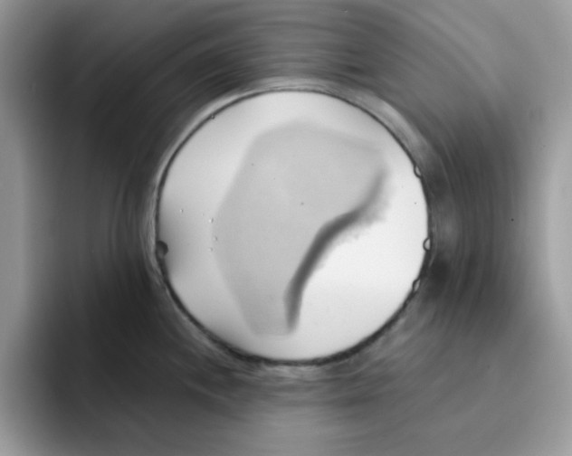 X0000091581244200709171110