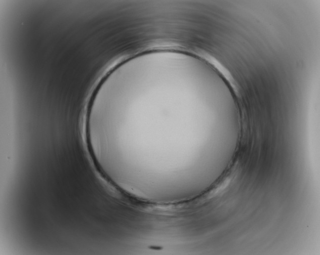 X0000091581245200709171110