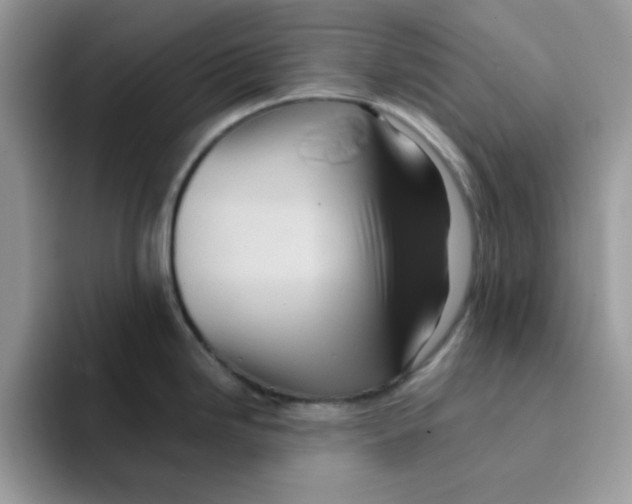 X0000091581246200709171110