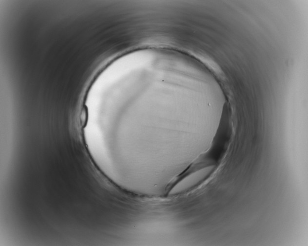 X0000091581248200709171110