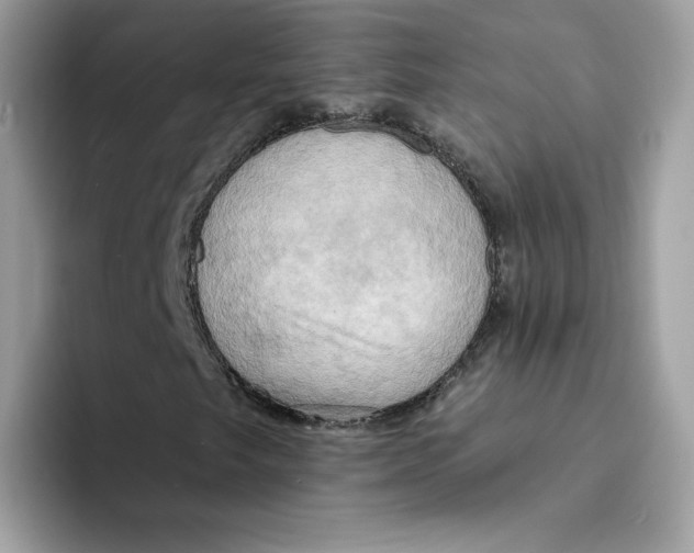 X0000091581249200709171109
