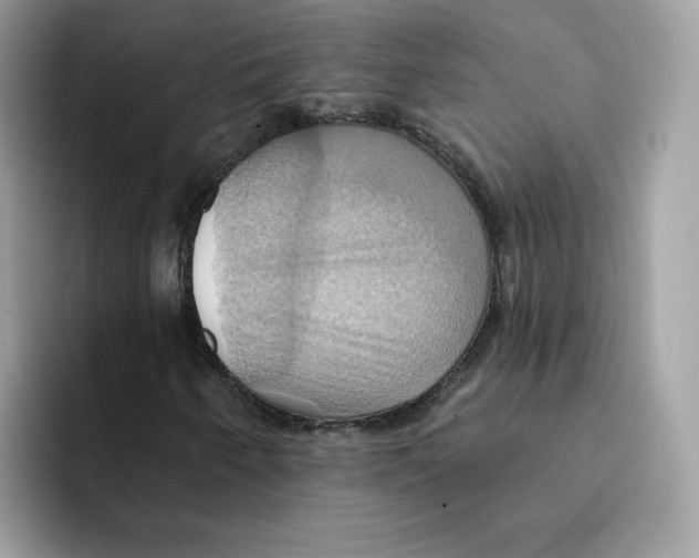 X0000091581250200709171109