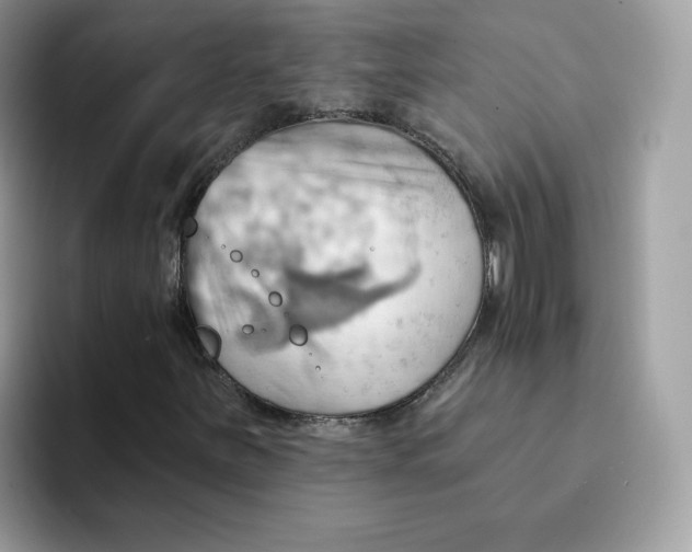 X0000091581251200709171109