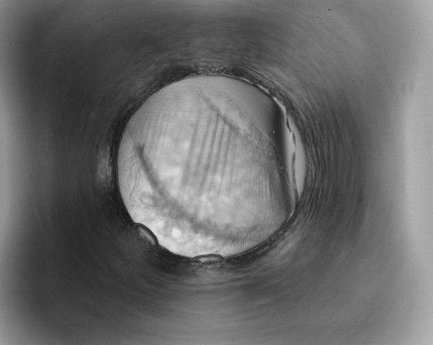 X0000091581252200709171109