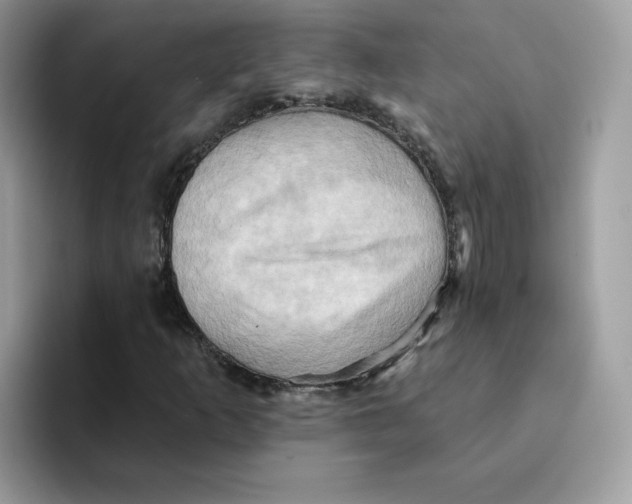 X0000091581253200709171109