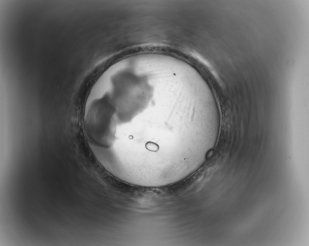 X0000091581255200709171109