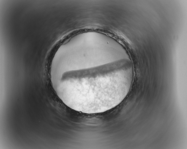 X0000091581256200709171109