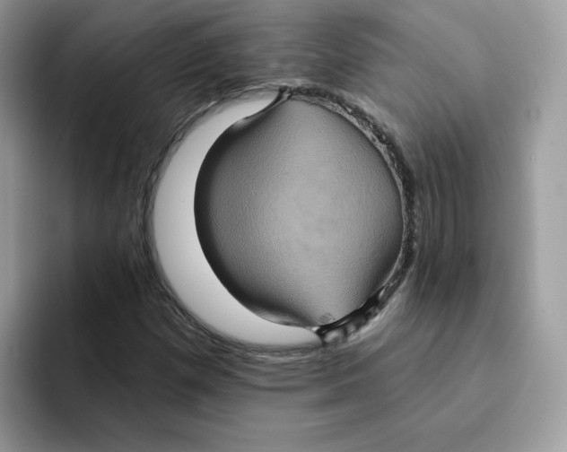 X0000091581257200709171109