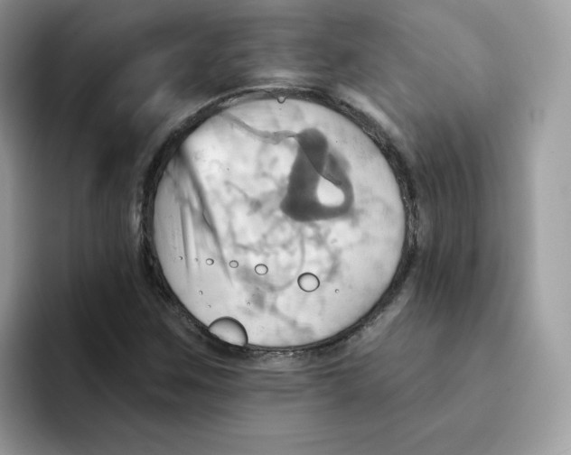 X0000091581259200709171109