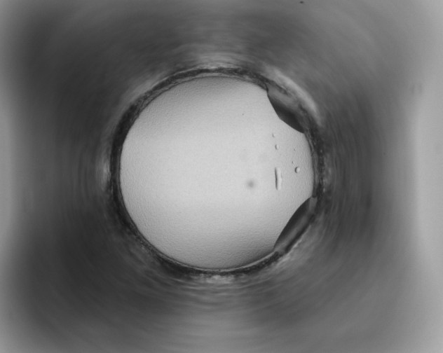 X0000091581261200709171109
