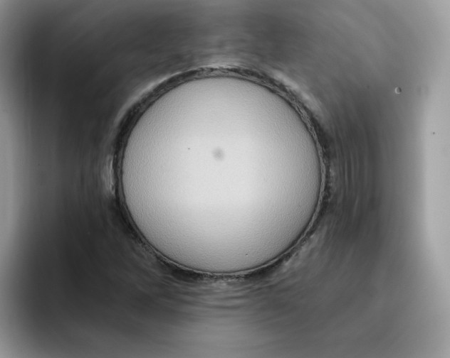X0000091581262200709171109