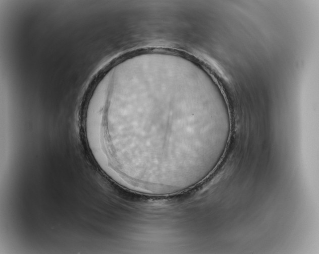 X0000091581264200709171109