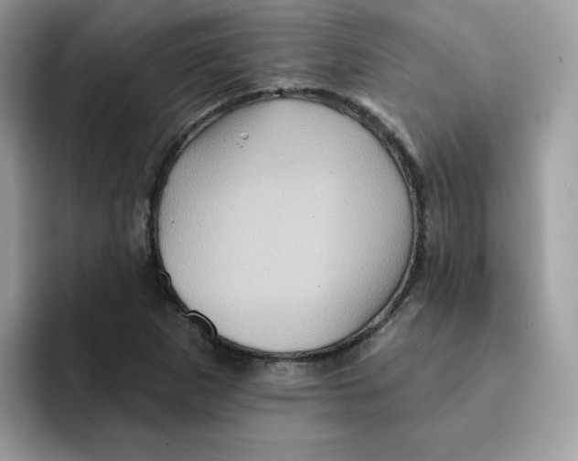 X0000091581265200709171109