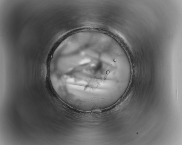 X0000091581267200709171109