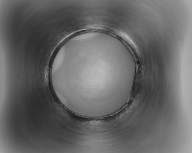 X0000091581268200709171109