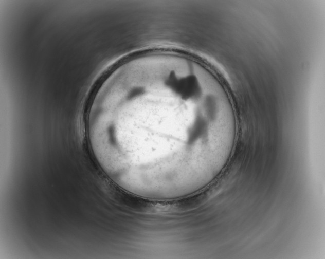X0000091581271200709171109