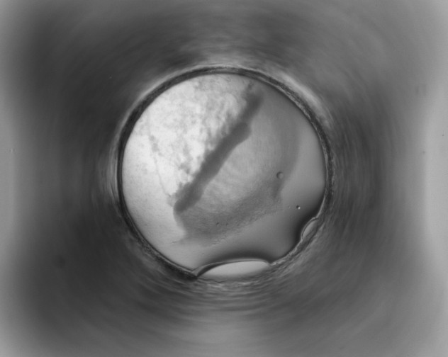 X0000091581272200709171109