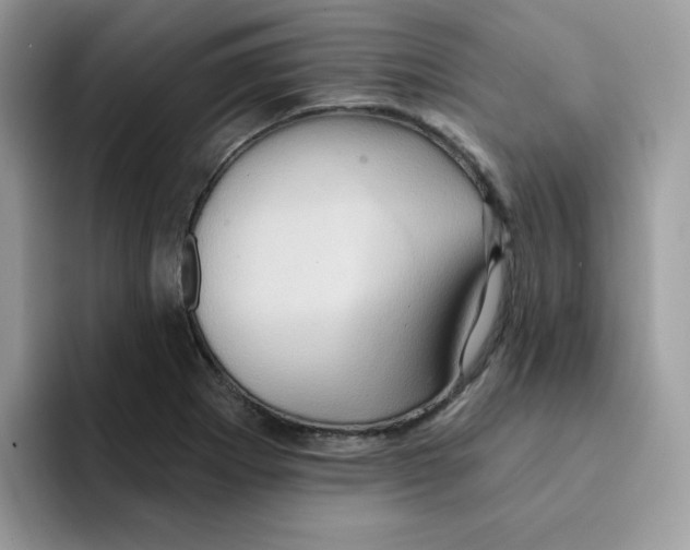 X0000091581273200709171109