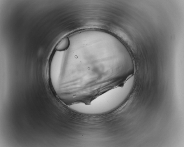 X0000091581275200709171109