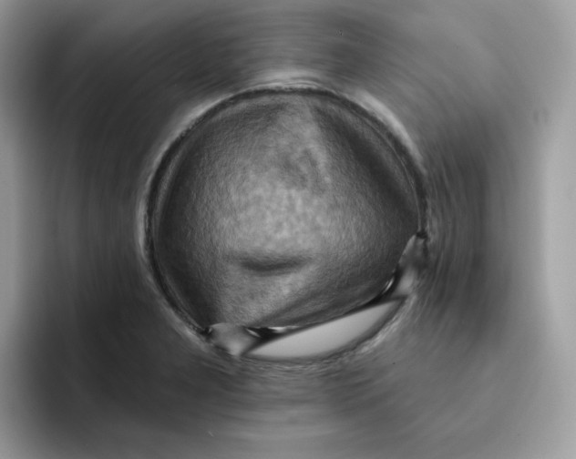 X0000091581277200709171109