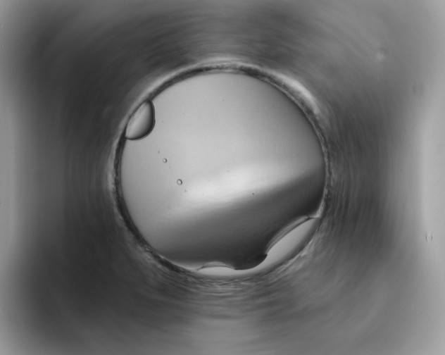 X0000091581279200709171109