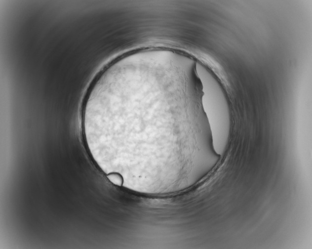 X0000091581280200709171109