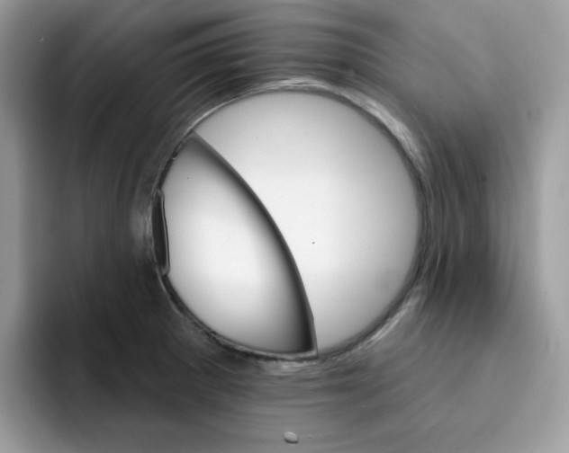 X0000091581281200709171109