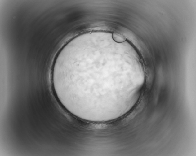 X0000091581282200709171109