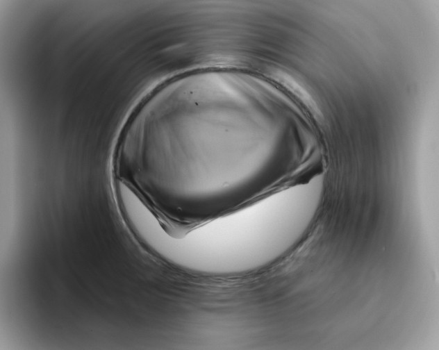 X0000091581283200709171109