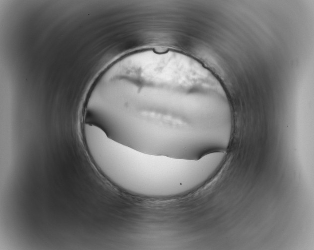 X0000091581284200709171109