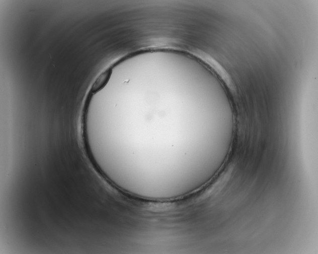 X0000091581285200709171109