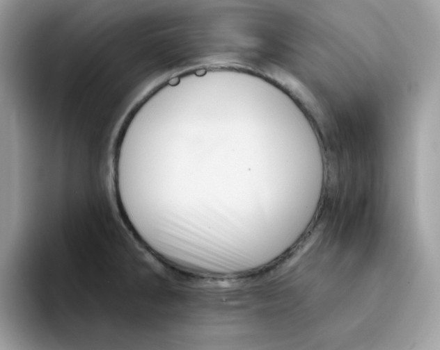 X0000091581286200709171109