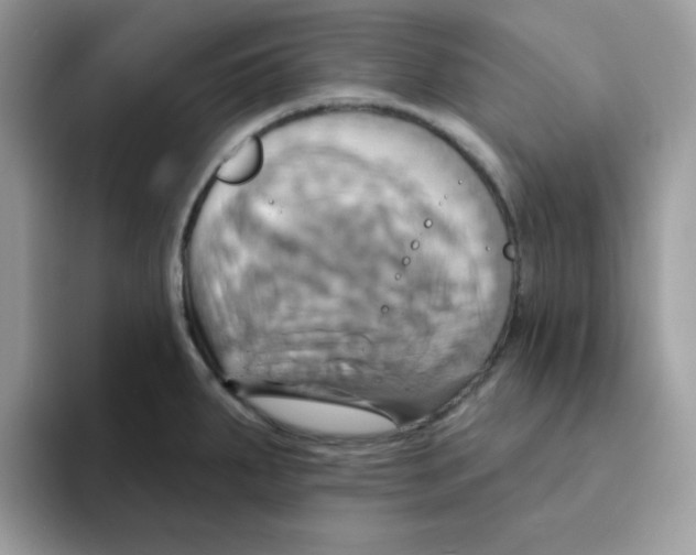 X0000091581287200709171109