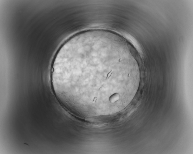 X0000091581288200709171109