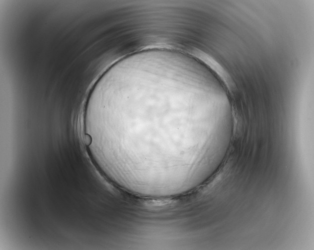 X0000091581290200709171109