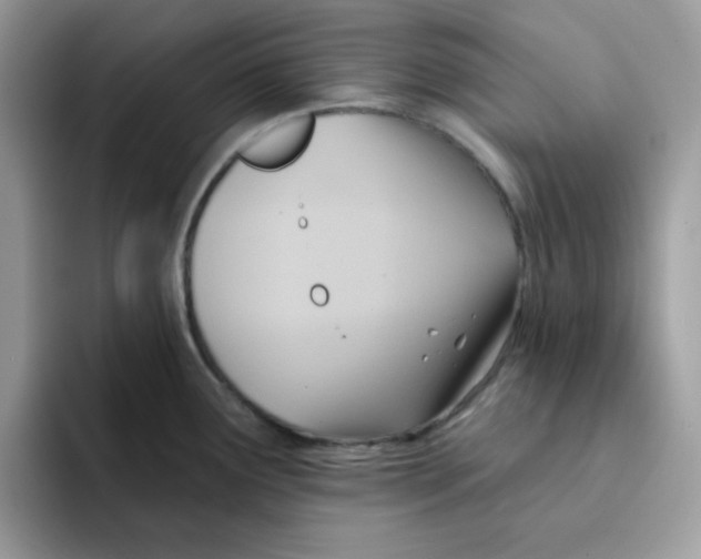 X0000091581291200709171109